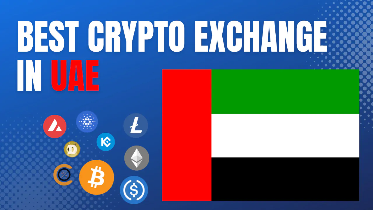 أفضل منصات شراء العملات الرقمية في الإمارات العربية المتحدة
